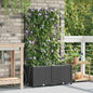 Macetero de Jardín 2 pcs 80 x 40 x 126 cm Plástico