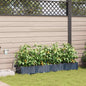 Macetero de Jardín 2 pcs 80 x 40 x 126 cm Plástico