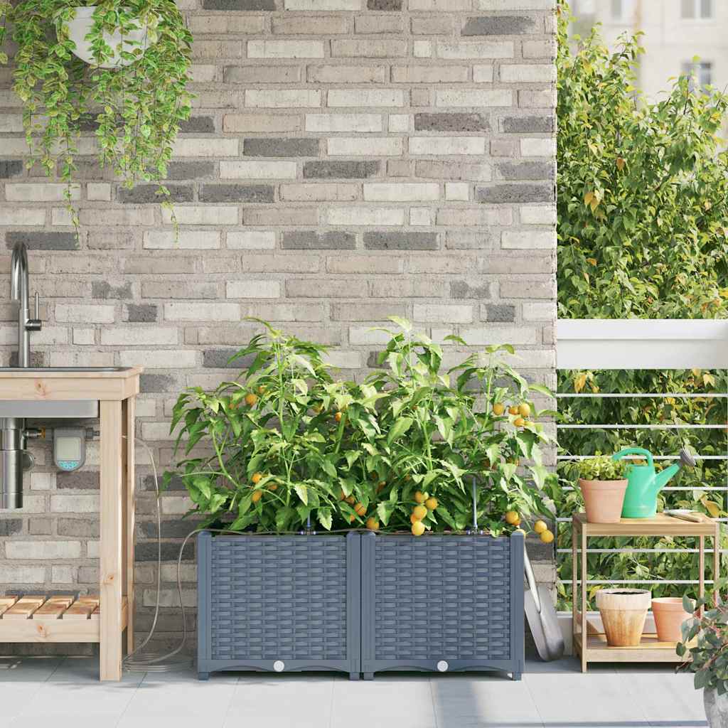 Macetero de Jardín 2 pcs 80 x 40 x 126 cm Plástico