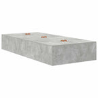 Cama con almacenamiento Gris Concreto 100 x 200 cm
