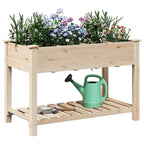 Macetero de Jardín con estante Beige 115 x 59 x 76,5 cm
