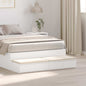 Cajones de cama 100 x 36,5 x 16,5 cm Madera de ingeniería