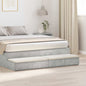 Cajones de cama 100 x 36,5 x 16,5 cm Madera de ingeniería