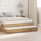 Cajones de cama 100 x 36,5 x 16,5 cm Madera de ingeniería