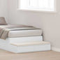 Cajones de cama 100 x 36,5 x 16,5 cm Madera de ingeniería