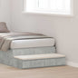 Cajones de cama 100 x 36,5 x 16,5 cm Madera de ingeniería
