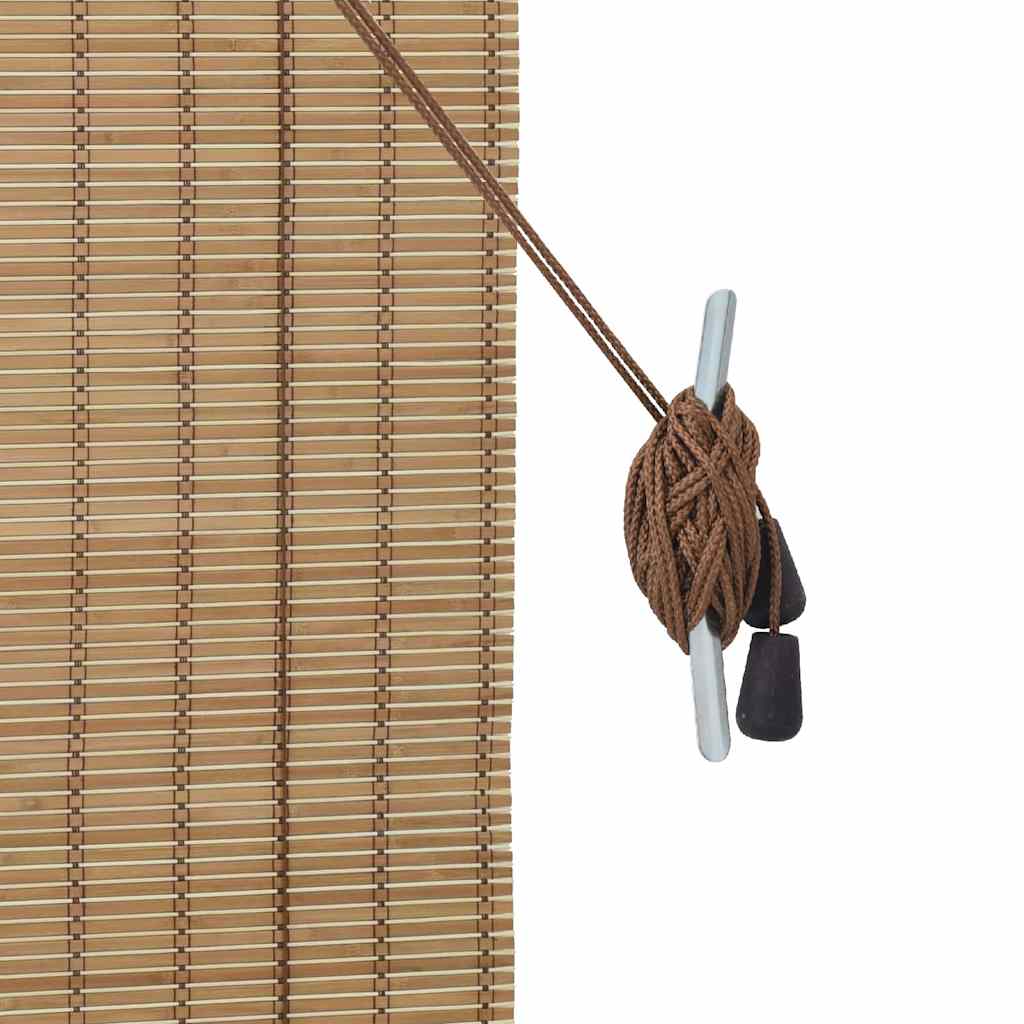 Estor enrollable con cortinas Naturaleza 100 x 160 cm Bambú