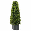 Torre de hierba de eucalipto Verde 27 x 27 x 90 cm Plástico