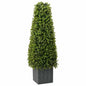Green eucalyptus grass tower 27 x 27 x 90 cm Plastic