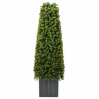 Torre de hierba de eucalipto Verde 27 x 27 x 90 cm Plástico