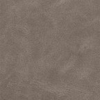 Sillas de Comedor con Ruedas 2 pcs Gris 58 x 67 x 97 cm