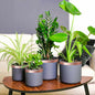 Cinta de cobre para protección contra caracoles 6 pcs Cobre