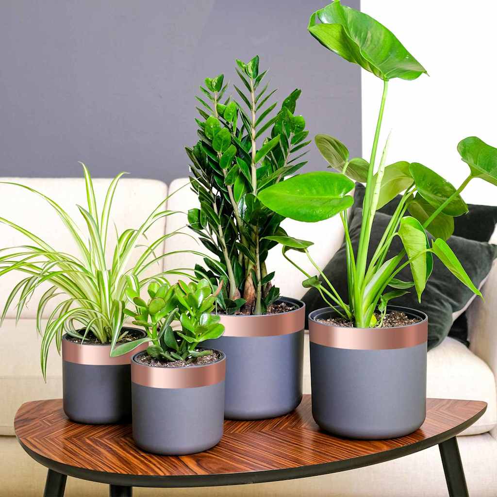 Cinta de cobre para protección contra caracoles 6 pcs Cobre