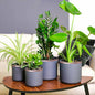 Cinta de cobre para protección contra caracoles 6 pcs Cobre