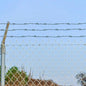 Galvanized Barbed Wire 100 m