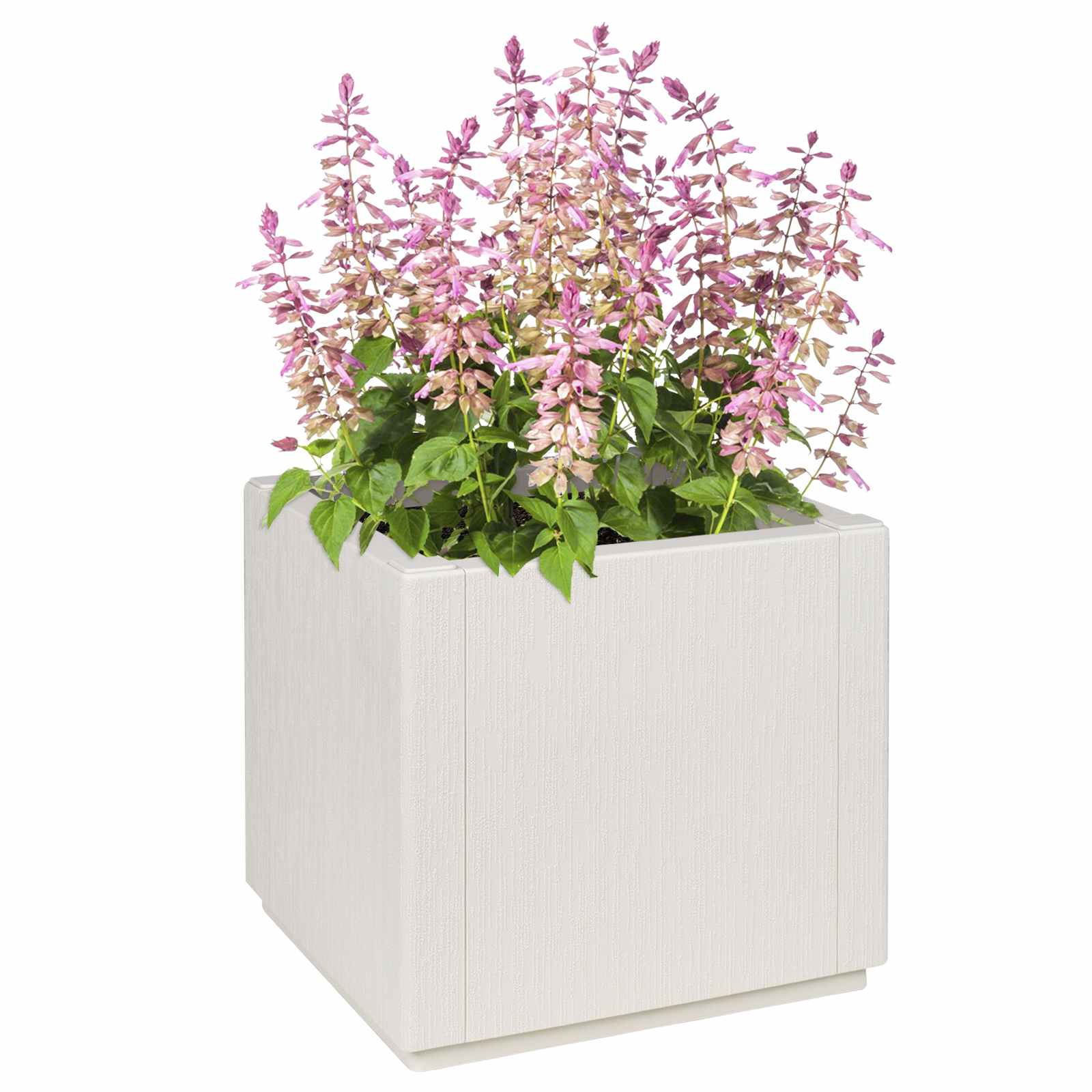 Caja de Flores de Jardín 36 x 36 x 35 cm PP