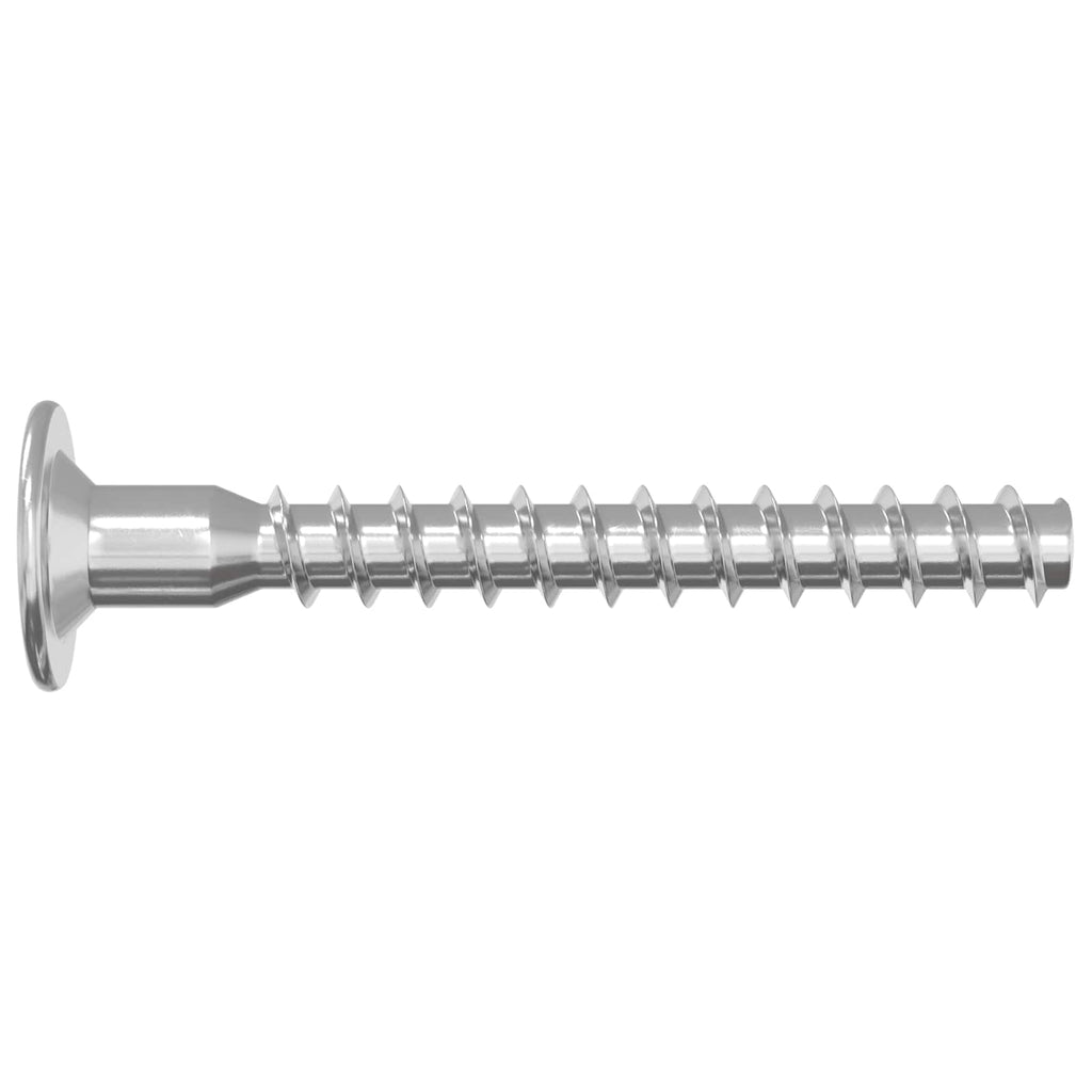 Tornillos Confirmat 12 pcs Plateado Ø5 x 40 mm Metal