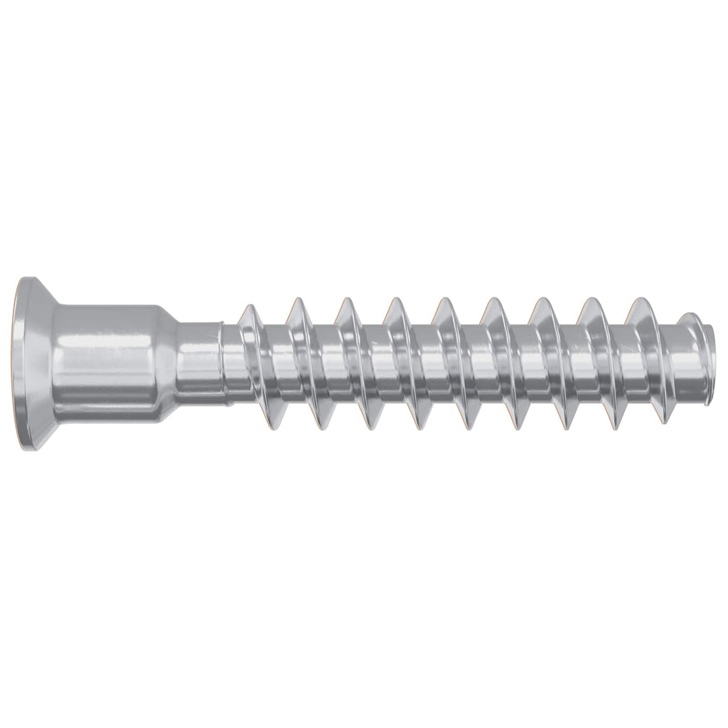 Tornillo de cabeza cap 12 pcs Plateado M7 x 40 mm Acero