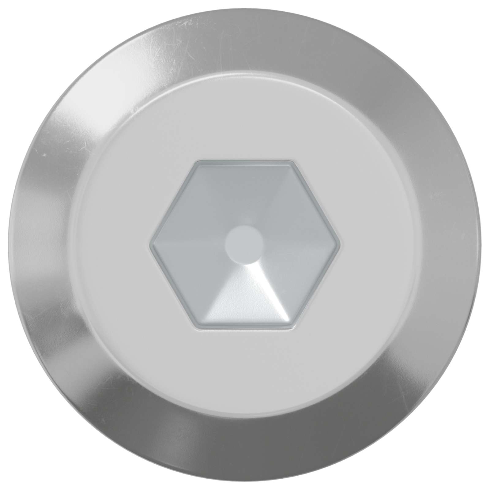 Tornillo 1000 pcs Plateado M6 x 100 mm Acero