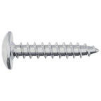 Clavo autorroscante 10976 pcs Recubierto de zinc Acero