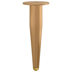 Pies de Soporte 12 pcs Dorado 98 x 40 mm Hierro