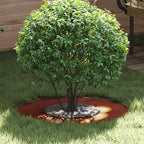 adecuado para Anillo de Árbol Plano Antracita Ø30 / 60 cm Acero