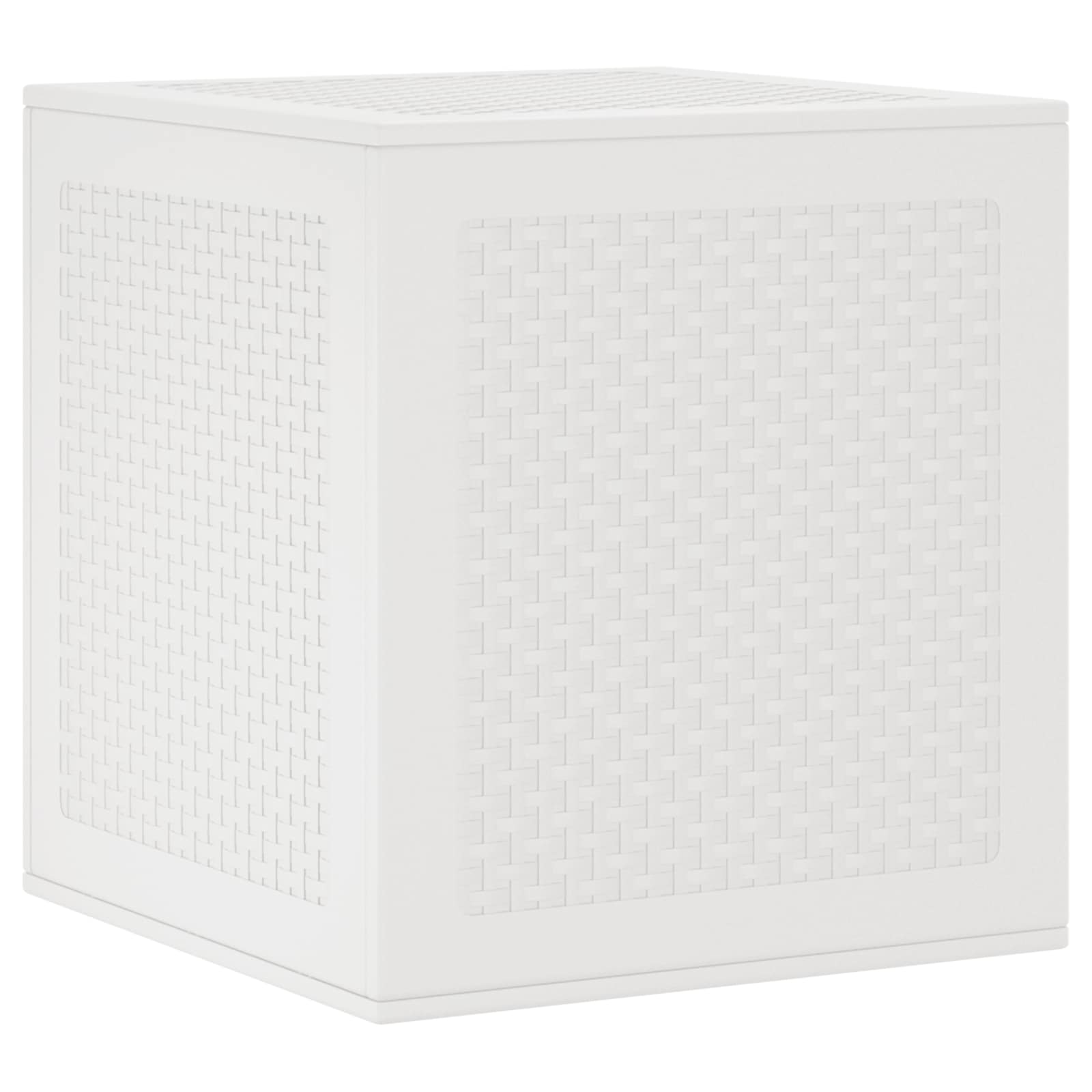 Caja de Almacenamiento 55 x 53 x 57 cm Polipropileno