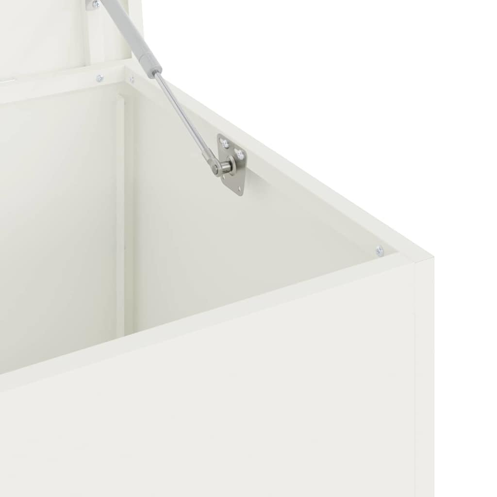 Caja de Almacenamiento Exterior 100 x 50,5 x 50 cm Acero