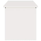 Caja de Almacenamiento Exterior 100 x 50,5 x 50 cm Acero