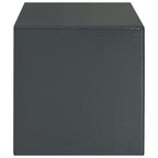 Caja fuerte digital Gris oscuro 31 x 20 x 20 cm Acero