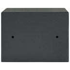 Caja Fuerte con cerradura Gris oscuro 23 x 17 x 17 cm Acero