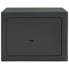 Caja Fuerte con cerradura Gris oscuro 23 x 17 x 17 cm Acero