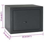 Caja Fuerte con cerradura Gris oscuro 23 x 17 x 17 cm Acero