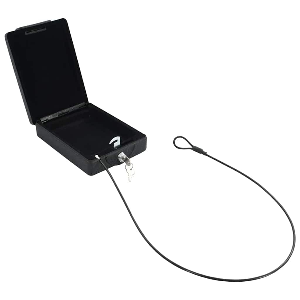 Caja Fuerte para Auto con cerradura Negro 22 x 16 x 7 cm Acero