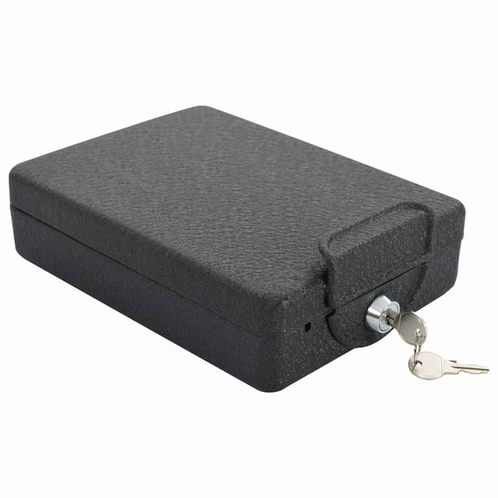 Caja Fuerte para Auto con cerradura Negro 22 x 16 x 7 cm Acero