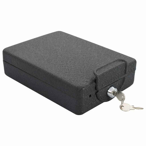 Caja Fuerte para Auto con cerradura Negro 22 x 16 x 7 cm Acero