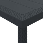 Conjunto de Comedor de Jardín 13 pcs Antracita Ratan Polt
