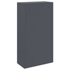 Caja de entrega de paquetes Antracita 44 x 22 x 82 cm Acero