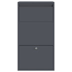 Caja de entrega de paquetes Antracita 44 x 22 x 82 cm Acero