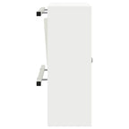 Buzón con almacenamiento con puerta 30 x 20 x 55 cm Acero