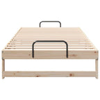 Estructura de cama Marrón 100 x 200 cm Madera de pino macizo