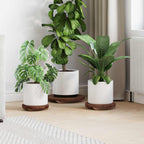 Taburete de Planta 3 pcs Marrón Madera de Caoba