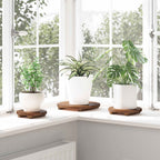 Taburete de Planta 3 pcs Marrón Madera de Caoba
