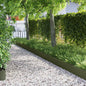 Lawn Edging 10 pcs 103 x 0.05 x 22 cm Steel