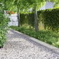 Lawn Edging 10 pcs 103 x 0.05 x 22 cm Steel
