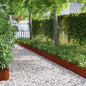 Lawn Edging 10 pcs 103 x 0.05 x 22 cm Steel