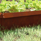 Valla para caracoles 16 pcs Oxidado 100 x 3,5 x 25 cm