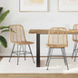 Dining Chairs 2 pcs Rattan and Natural Iron