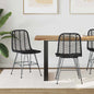 Dining Chairs 2 pcs Rattan and Natural Iron