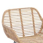 Silla de Bar 2 pcs 55 x 52 x 105 cm Ratan e Hierro